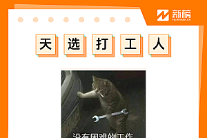 《2022年度热梗观察手册》