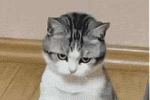 80%专家看好楼市,只有 20%城市有希望