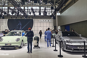 欧拉还有“好猫”吗?