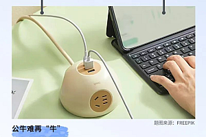 公牛跌破千亿市值,”插座茅”不牛了