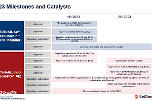 JPM二十大国内药企的光荣与梦想:谁能成为药王?