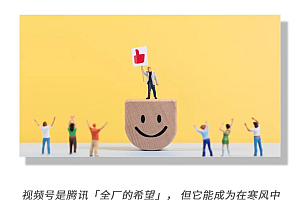 2023年终于是真正的「视频号大年」?
