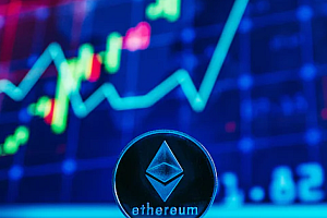 Web3从业者,进入冷静期