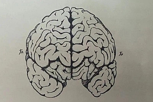 用好大脑,2个方法+3个工具就够了