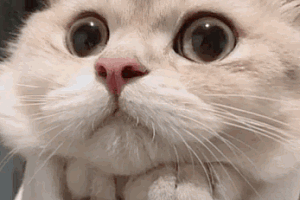 AI认定他在千里之外作了案,送进监狱关了7天