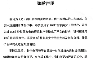 光渊美术团队道歉 擅自修改朴彩英照片