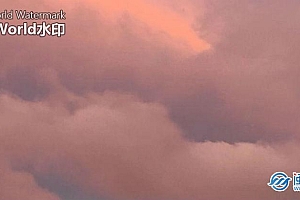 情人节表白最浪漫的话  情人节告白情话经典语录暖心句子