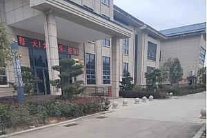 博物馆回应石狮被丢在门口:放不下 鉴定是普通文物
