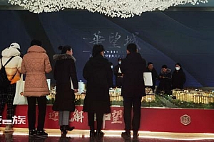 雄安楼盘开卖单价1.4万,购房需有北京户口且符合条件等 暂不对外开放