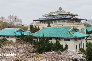 武汉大学:严禁外来人员违规入校 已提请公安开展打击处理