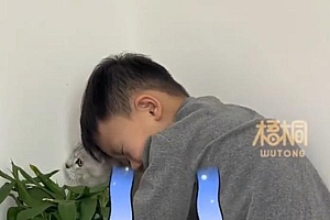 男童哭求猫咪不要掉毛不然被送走了 网友:人也掉毛!