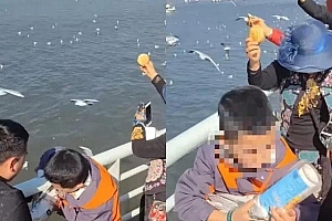 警方回应父母帮男孩抓海鸥塞瓶子:已联系涉事人员,处罚由林草大队裁定