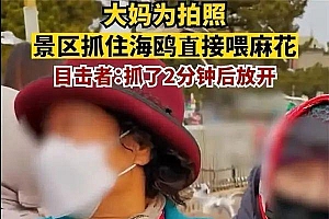 多名大妈抓海鸥轮流拍照,目击者:抓了两分钟喂麻花摆拍