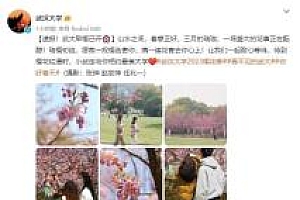 武汉大学的早樱终于开了,校友可免预约出入校园赏樱