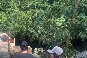 网友海南偶遇秦岚魏大勋 魏大勋你小子真的好福气啊都是美女