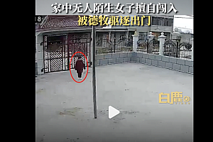 陌生人闯家德牧狂吠驱逐  这不犯法吗?幸亏有德牧看家