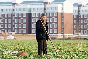 老年人购房时代来了?多城加入延长房贷年龄期限的“队列”,最高年龄可达100岁