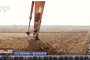 我国14亿多人每天消耗70万吨粮  如何保证14亿人按点开饭?是一篇大文章
