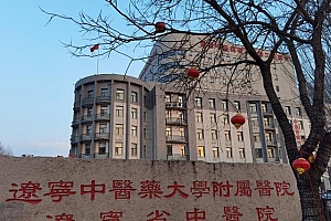 辽宁遭射钉枪枪击医生被评认真负责,患者为其打抱不平