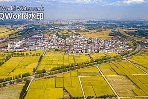 2023年中央一号文件公布!都说了啥?这些亮点必须关注!