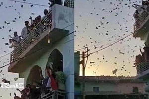 印度一男子结婚全家撒钱 让人感叹:“这也太土豪了吧!”