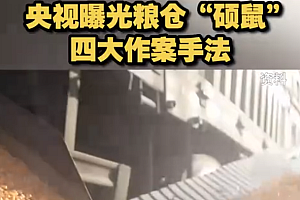 央视曝光粮仓“硕鼠”四大作案手法 把国家粮仓当作牟利工具