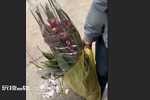 妈妈买的兰花撞脸绿化带  不知道的还以为是刚挖的