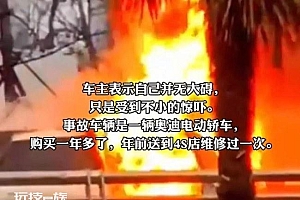 奥迪电动轿车行驶中自燃 车主心有余悸:才买1年多