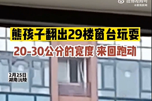 湖南3名小孩翻出29楼窗户玩耍 网友:回去打断一条腿吧,总比丢了命好