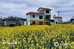 北方局地降温超10℃ 网友:你多冒昧啊