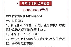 月薪4万招人去非洲养鸡?企业回应:年轻人只能从基础做起