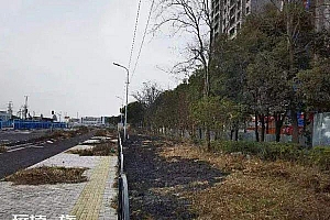 70岁老人等公交无聊烧绿化带引起火灾 被罚款500元