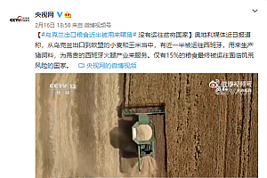乌克兰出口粮食近半被用来喂猪 仅15%被运往面临饥荒风险国家