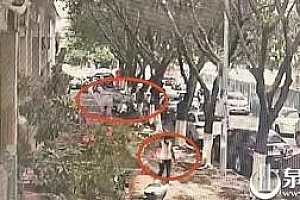 4个老太太组团偷钢管 史上最强“姐妹团”