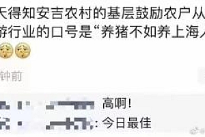 养猪不如养上海人!这话传遍旅游圈 安吉农户都懂得