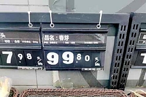 “春芽刺客”每斤138元?种植户发声:霜冻减产价高