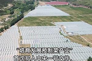 中央一号文件首提预制菜的用意  基于大数据挖掘C端偏好