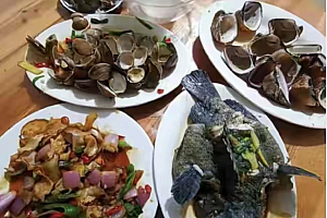 “4个菜1500块”是明码标价还是漫天要价?北海整体名声弄坏了