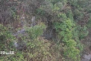 男子抢劫156元后潜逃 藏山洞14年终于想通投案自首