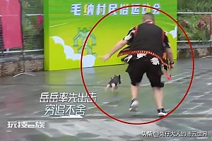 岳云鹏晒撵猪视频引热议 网友:真的很接地气