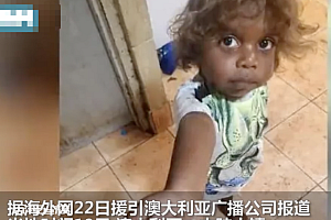 澳大利亚一小镇下“鱼雨”  天降活鱼并非头一次出现