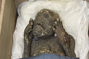 日本寺院所藏人鱼木乃伊为人造物品:鱼皮制成填充布类纸类棉花