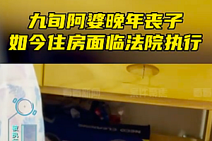 儿子过世留了豪宅 法院执行九旬母亲的老破小?有点难!