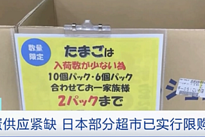 日本鸡蛋产地最大养鸡场暴发禽流感  导致鸡蛋供不应求价格翻番