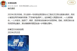 两名演员吊环表演时坠落  停业整改并进一步调查事故原因
