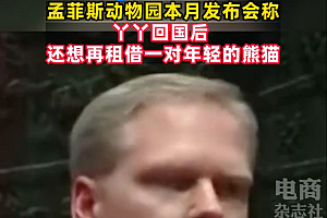 美欲再租借大熊猫引热议 网友:滚