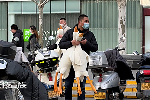 大街上送的“大鹅”能要吗?需警惕个人信息有泄露风险,有套路!