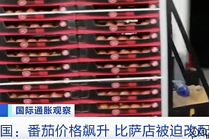 英国餐馆被迫推出白披萨  此时对意大利餐厅来说“非常困难”