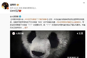 多位明星为丫丫发声 网友:不要忘了还有美香一家