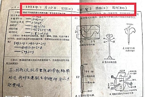 女子晒奶奶1954年的寒假作业 1954年的作业原来是这样的